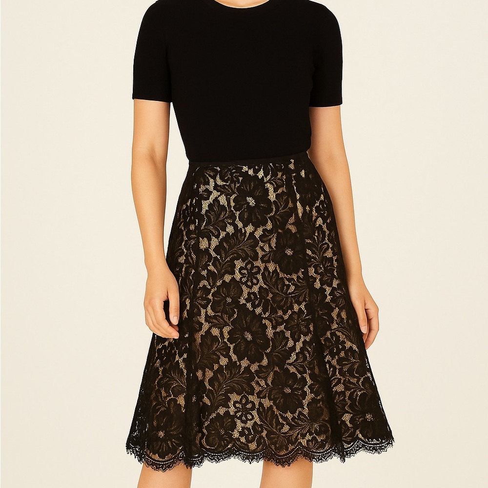 Elegant Ann Taylor Black Lace Skirt